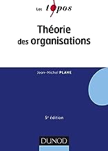 Theorie des organisatons