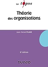 Theorie des Organisations