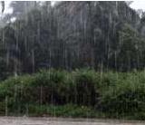 Pluie